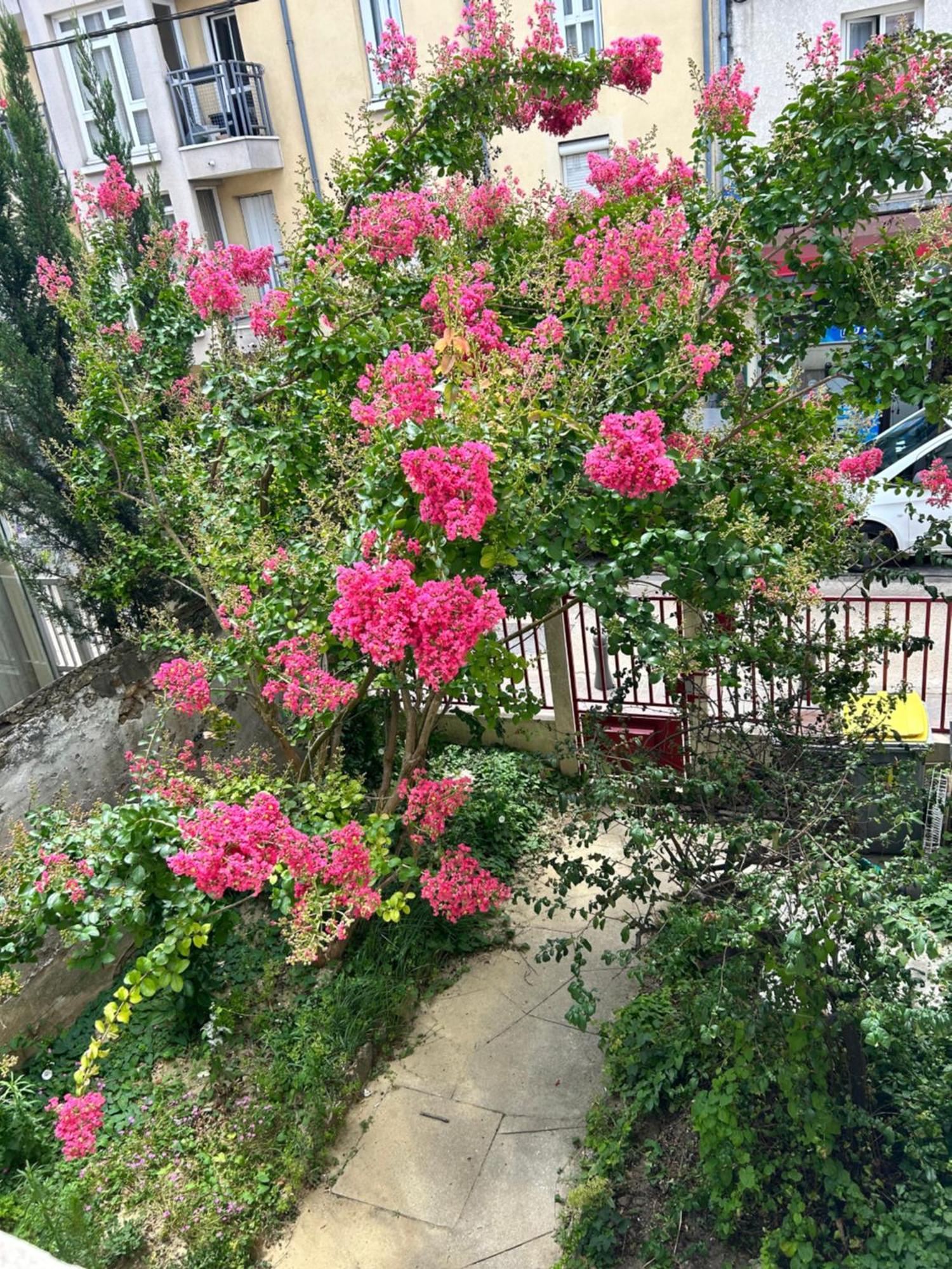 F3 Au Grenier D'Une Maison ماسي المظهر الخارجي الصورة