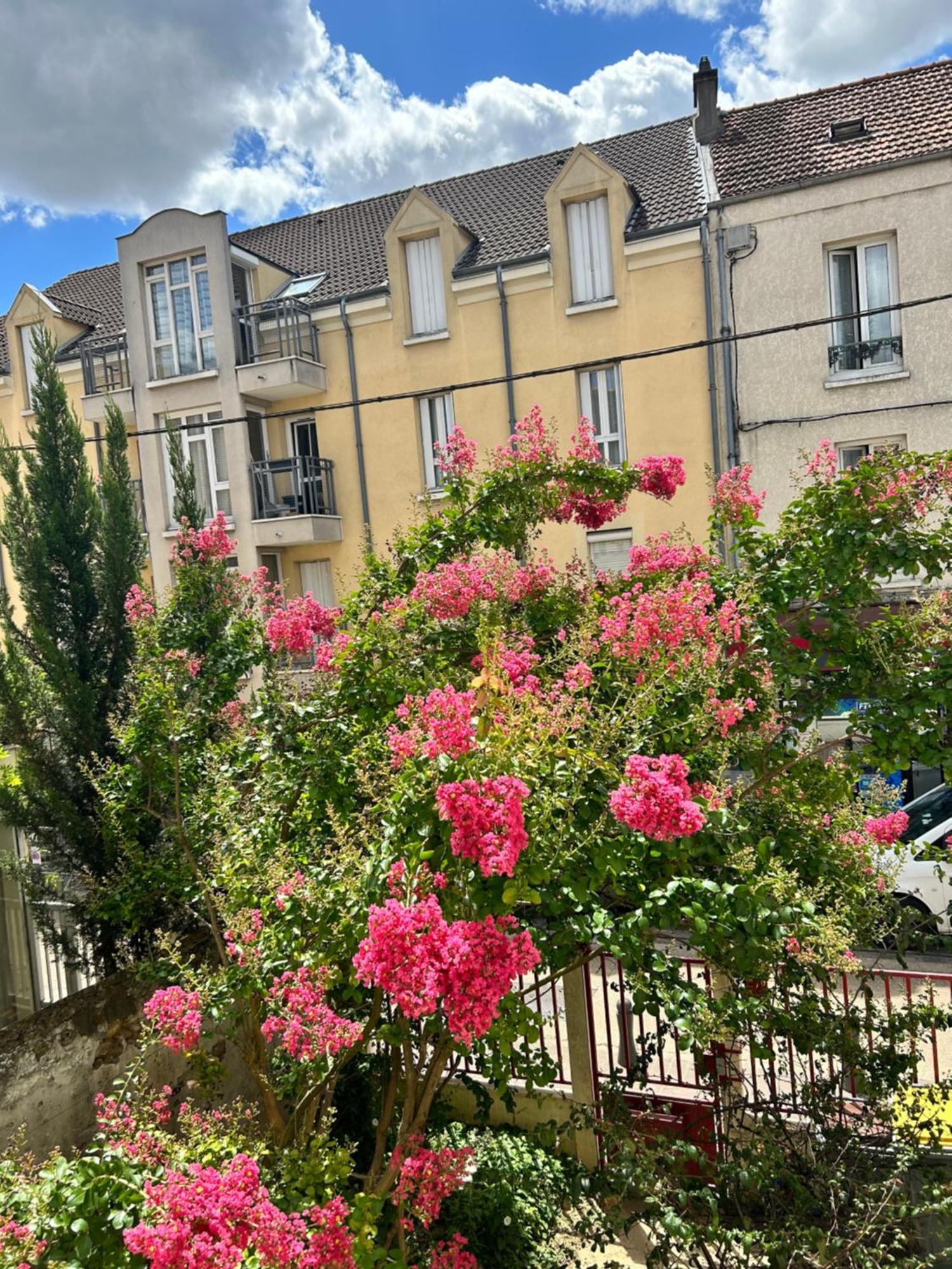 F3 Au Grenier D'Une Maison ماسي المظهر الخارجي الصورة
